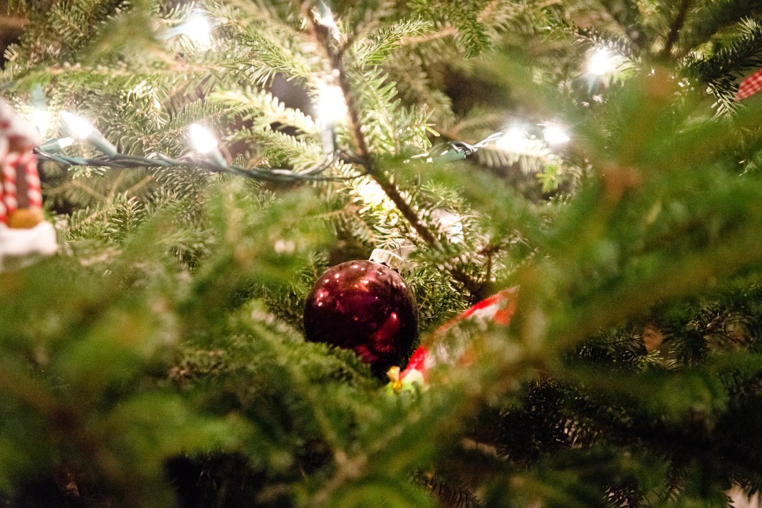 Simply Mella Photography -09859