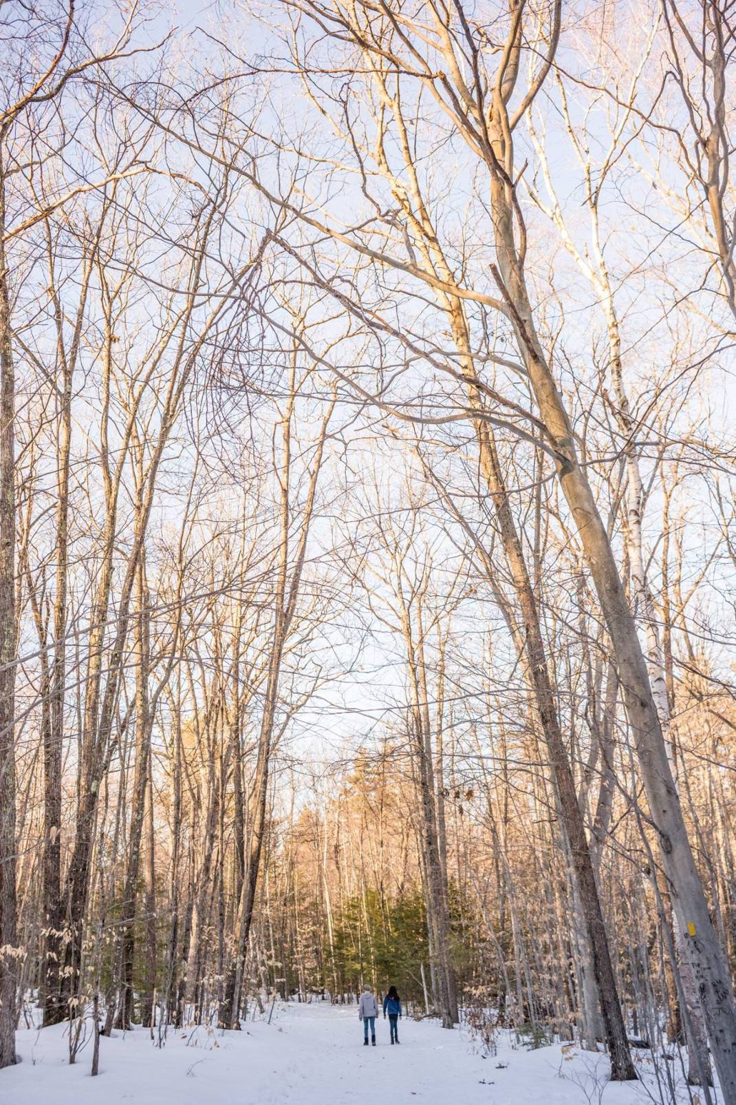 16904868_10154424478787029_1887959694667772604_o