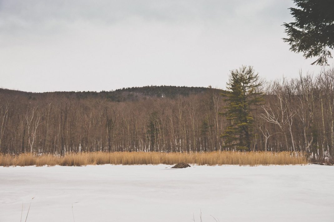 17311045_10154500063207029_5185357053690567390_o